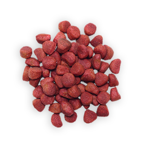 Dog food food-transparent-16